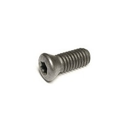 M0102554/M4,0X16/T20 SCREW