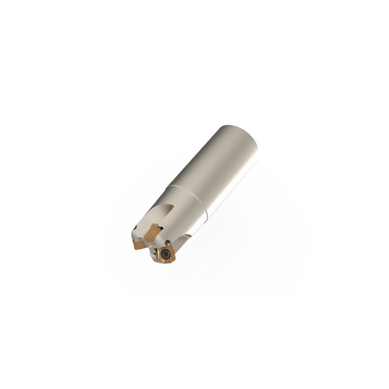 SSR12-R032-C32-70-L130-Z03