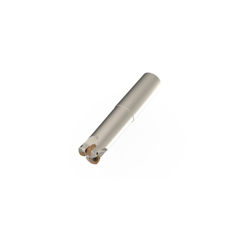 SSX10-R025-C25-50-L225-Z03