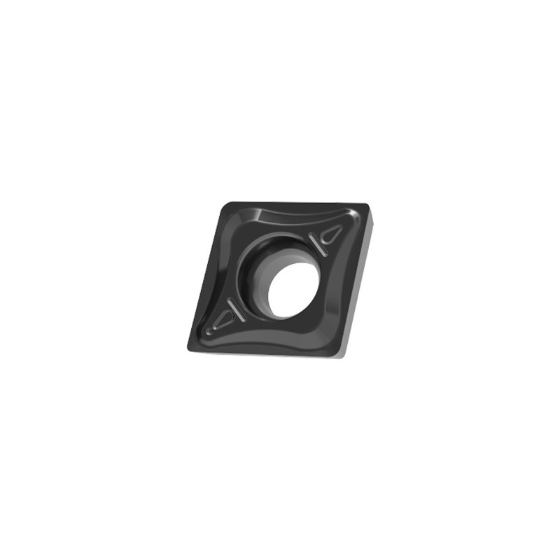 XPNT 100404EN DPMS30E